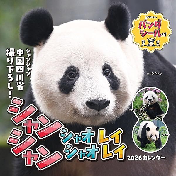 パンダ自身 7頭め 毎日パンダ自身（光文社女性ブックスVOL.203